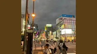 大宮 Citrus Night