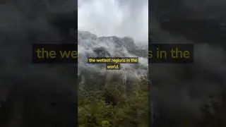 Wettest region in the world, Fiordland, New Zealand #shorts #newzealnd #fiordland