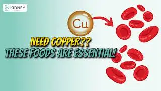 The Best Copper-Rich Foods to Include in Your Diet | High Copper Foods