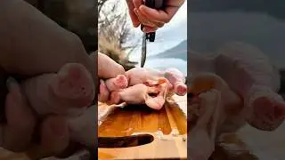 &ldquo;Cooking by the riverside 🔥🍖Fire, water, and peaceful moments Just naturereal taste #shorts #asmr