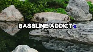 Bear DSN - Sweet Like a Bird