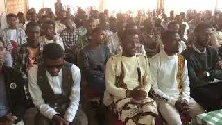 Walaloo Anaa dhufuu fi erga waloomaa irratti xiyyeeffate
