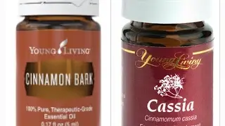 Cassia & Cinnamon Essential Oil   What's the Difference?