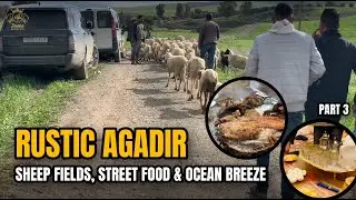 Rustic Agadir 🌾 Sheep Fields, Street Food & Ocean Breeze