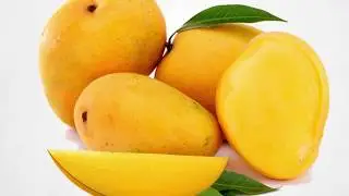 Benefits of Mango || Health Tips & Tricks || Weight Lose by Mango