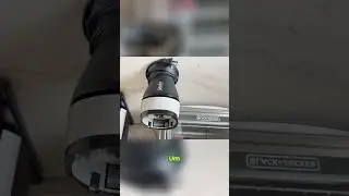 Ninja Fit Personal Blender Review: Small Size, Big Power? (700W, QB3001SS)