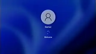 how to screen capture using a VCR