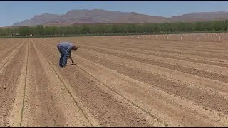 New Mexico Farmers Adapt As Drought Grows Harsher