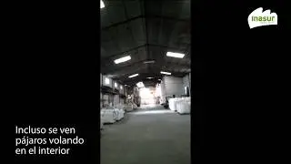 Pájaros Entran a la Nave - Caso Inasur: 