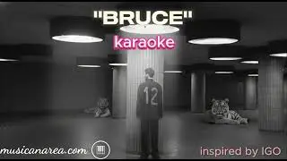 Bruce (inspired by IGO) - KARAOKE DEMO
