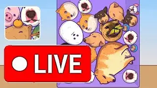 merge fellas live gameplay highest score double giva 16. #perfectsliceslive #perfectslicegame