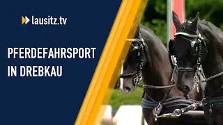 Pferdesportturnier Drebkau 2025 &ndash; Das gro&szlig;e internationale Event!