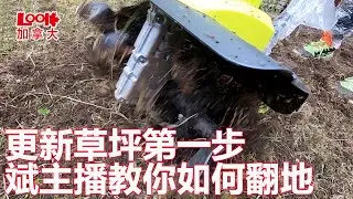 【温哥华日常】家里草坪一大块死了，怎么才能修复？斌主播教你如何重新翻地（TurnThe Ground），买翻地机还是租呢？到底哪个更合算？（欢迎订阅斌主播频道）