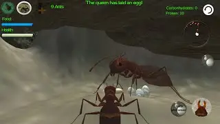 Ant Simulator 3D - Insect Survival 2018 Simulator #32