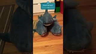 Blahaj edition #ikea #blahaj #shark #blahajanism @rinpenrose
