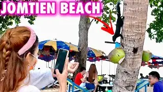 [🇹🇭4K] walk Jomtien Beach  Before the Pattaya Music Festival 2022