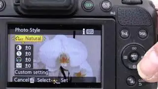 Panasonic Lumix FZ200 mini series- Getting Better Images Part 1 Bright Sunshine