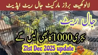 Sunday lalukhet birds market jaal rates update/21st Dec 2025 update/لالوکھیت برڈز مارکیٹ جال ریٹ 