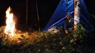 1 Day Solo Survival Camping Heavy Rain |  Bushcraft Shelter in Wild Forest Adventure