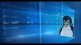 Linux installation || Windows Server.