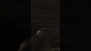 &laquo;Кто-то меня только что донес&raquo; #escapefromtarkov