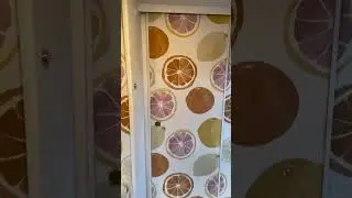 Van Transformation: Bland Family's Citrusy Ride with Elara Wallpaper
