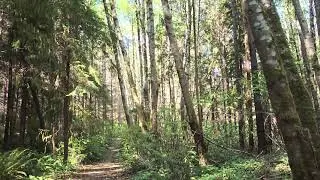 Hyper Space Loop Trail - Poulsbo, Washington