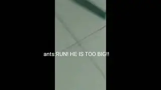 The Ant Army Tried (Reposted And Deleted The Other One Cos I Posted The One That isnt edited)