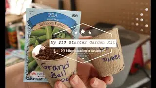 Best Starter Gardening Kit -Cheap DIY