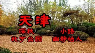 天津 深秋北宁公园 小路幽静怡人 In the late autumn of Tianjin, Beining Park has a quiet and pleasant small path.