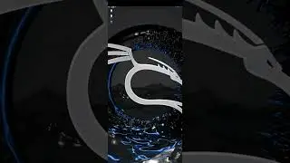 Running Kali Linux on phone. need to fix error 9 child process