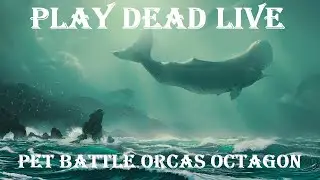 Play Dead Live - Battle Pets of Orcas Octagon