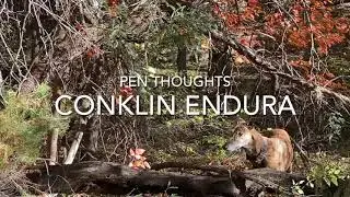 Pen Thoughts: Conklin Endura