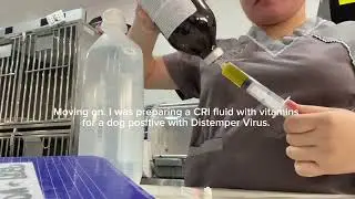 MED PREP with me ASMR/ Vet Nurse Life *mini vlog episode 2*