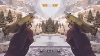 Unfinished Gun Sync Compilation