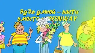 Пять смертных грехов партнеров Greenway Global