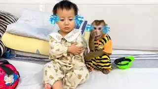 Monkey Kaka and Diem are sad when they can't go out.