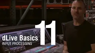 Mike Bangs - dLive Basics 11 - Input Processing - Gate Overview