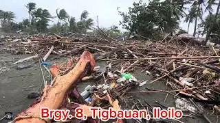 Impact of Typhoon Crising, Emong , Dante | Iloilo Philippines 