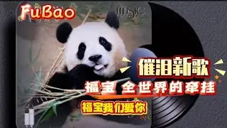 福宝又一首专属新歌，每一字每一句都体现出对福宝的牵挂，听着歌想着福宝真的好心疼😭#大熊猫 #大熊猫福宝 #大熊貓 #panda #fubao