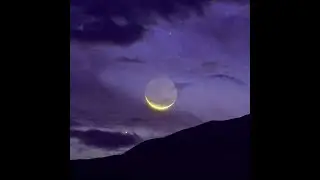 [Atmospheric Beat] Moon Is Rising | Reese Bass | Fast Synth Beat