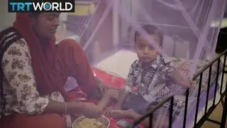 Bangladesh Dengue Outbreak: Tens of thousands diagnosed with Dengue