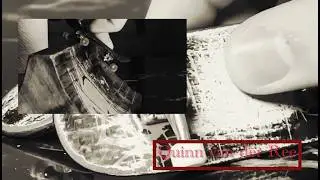 Quinn van der Ree pro part for sehnsucht fingerboards