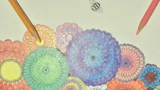ColorBooking Flower Firework Stop Motion Coloring Book Video