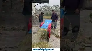 Chaff Cutter | Best Animal Feed Making Machine | #BestAnimalFeed #HealthyLivestock
