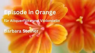 Episode in Orange, Juli 2023, Barbara Steiner