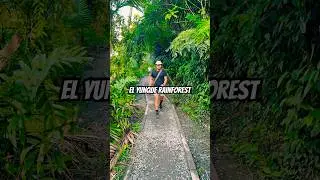 LA NATURALEZA                                                (Caminando con mensaje positivo)