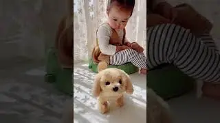 Musical dog for kids | walking dog with lights toy play master video