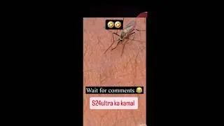 Daily instagram funny comments part 36 #reaction #instagram #viral #reels #yt #funny #comments
