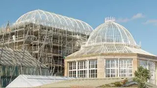 Restoring the Palm House | Royal Botanic Garden Edinburgh